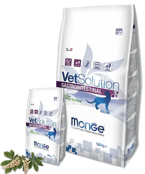 MONGE DRY VETSOLUTION CAT INTESTINAL