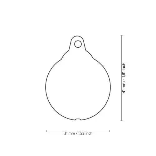 medalion BIG LADYBUG CHARMS