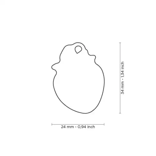 Medalion MÂNCARE CU CĂPȘUNI