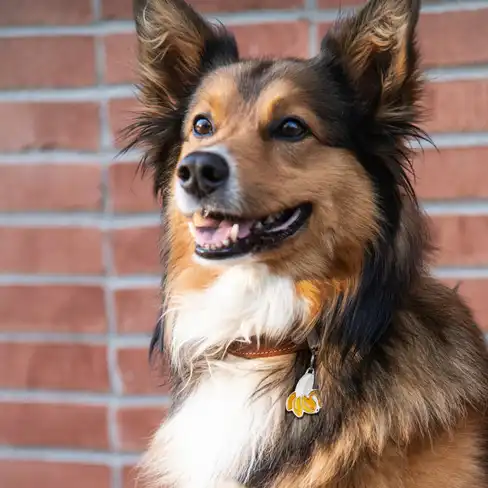 Медальон Banana FOOD