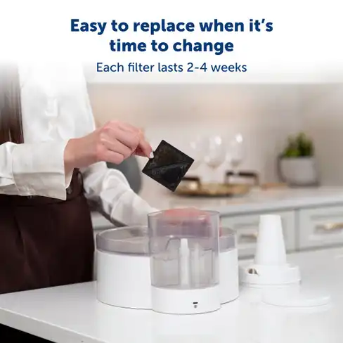 Filtre PetSafe® Ion-X™ pentru fântâni de apă