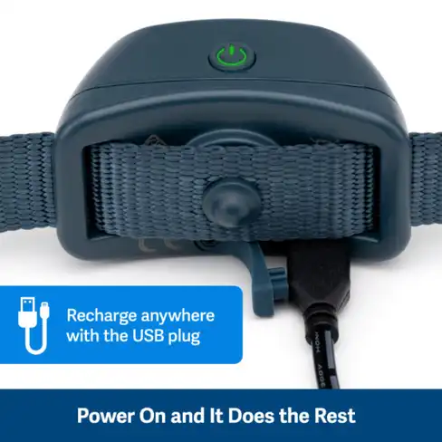 PETSAFE Звуковой ошейник для контроля лая