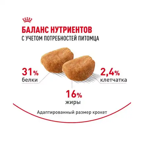 Royal Canin Rottweiler Puppy