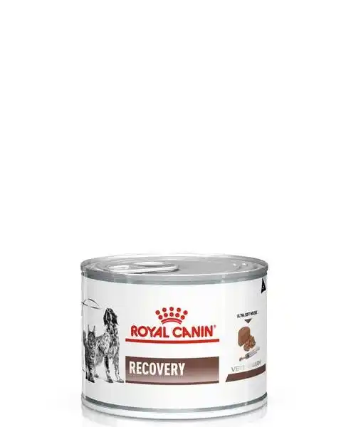 ROYAL CANIN RECOVERY