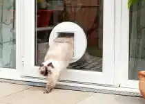 SURE FLAP Ușiță Microchip Cat Flap White