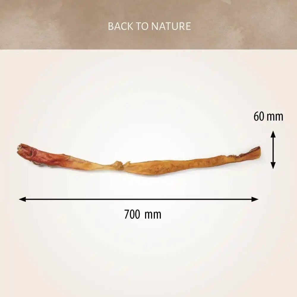Antos Beef Hide Long Pre-Packed 70см