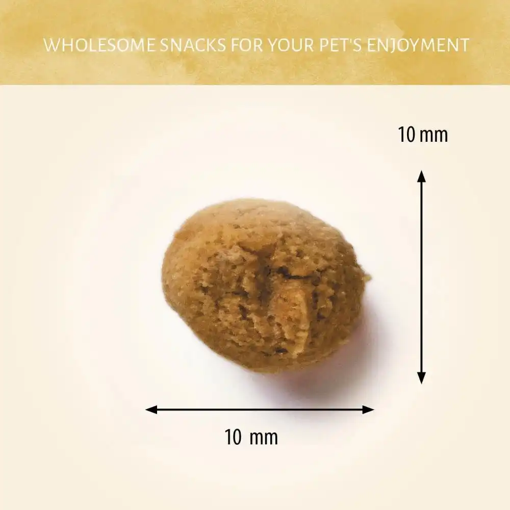 Antos Insecta Nibbles Cricket & Sweet Potato 100 gr