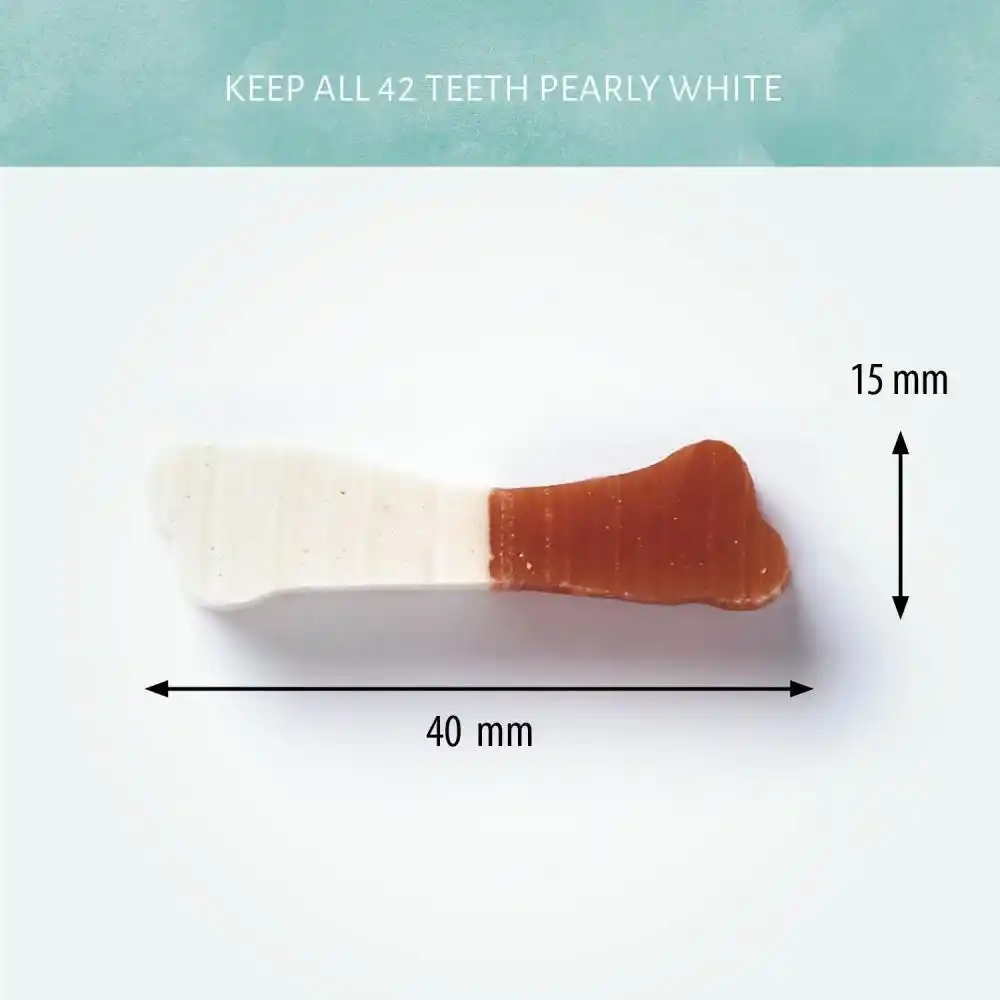 Antos Dental D’light Bones 100gr