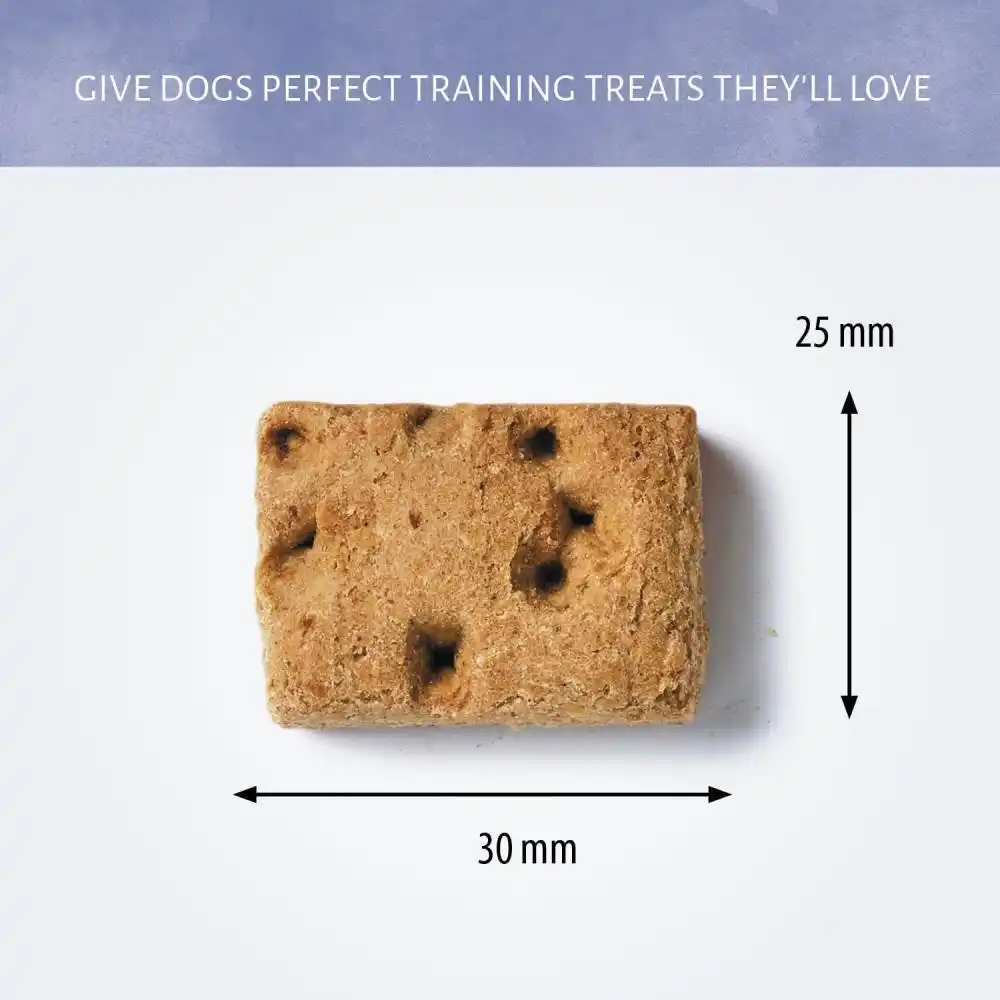 Antos Carré Lamb&Rice 1 kg