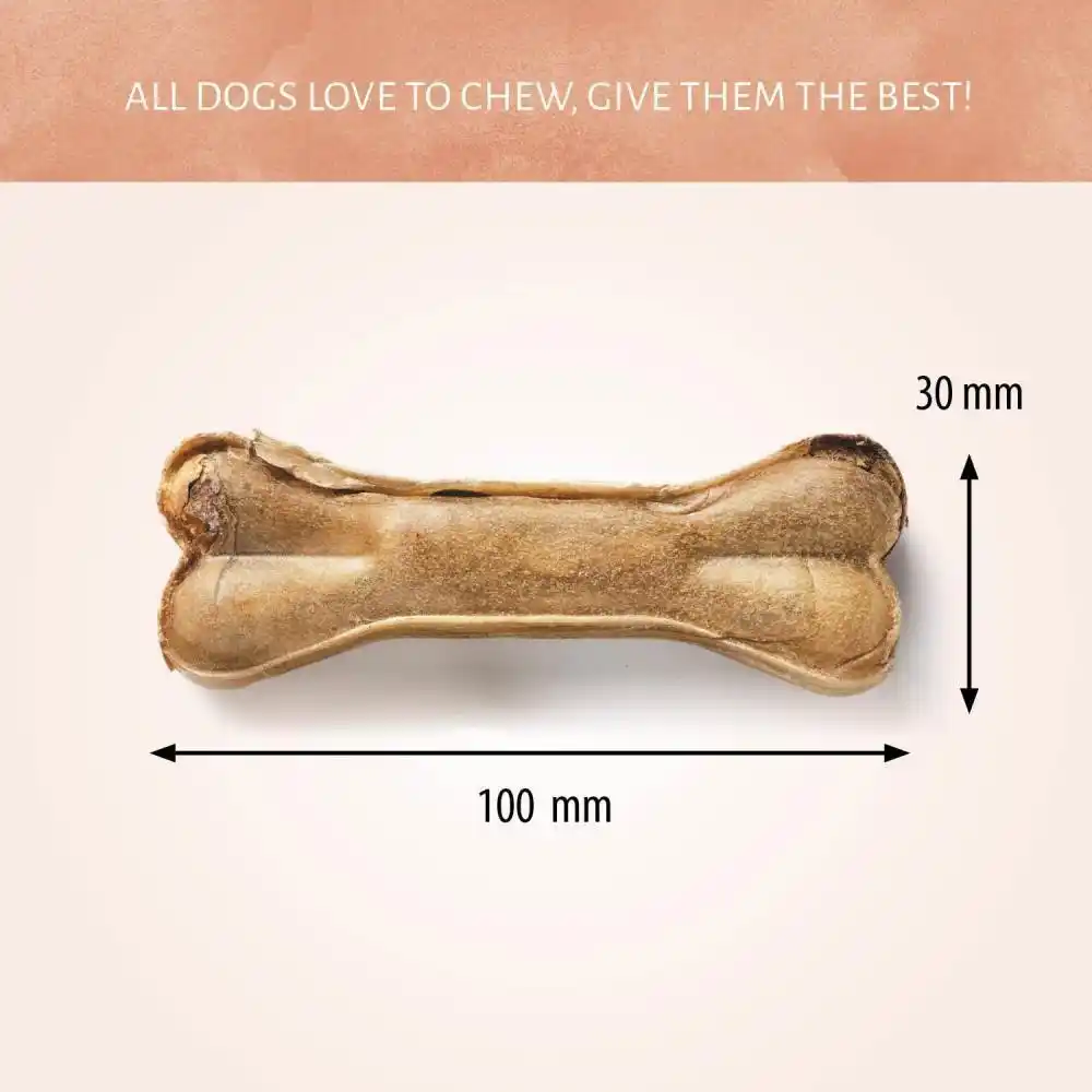 Antos Pressed Bone Pizzle 10cm 1pc
