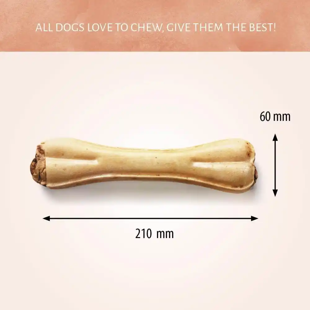 Antos Pressed Bone Pizzle 21cm 1pc
