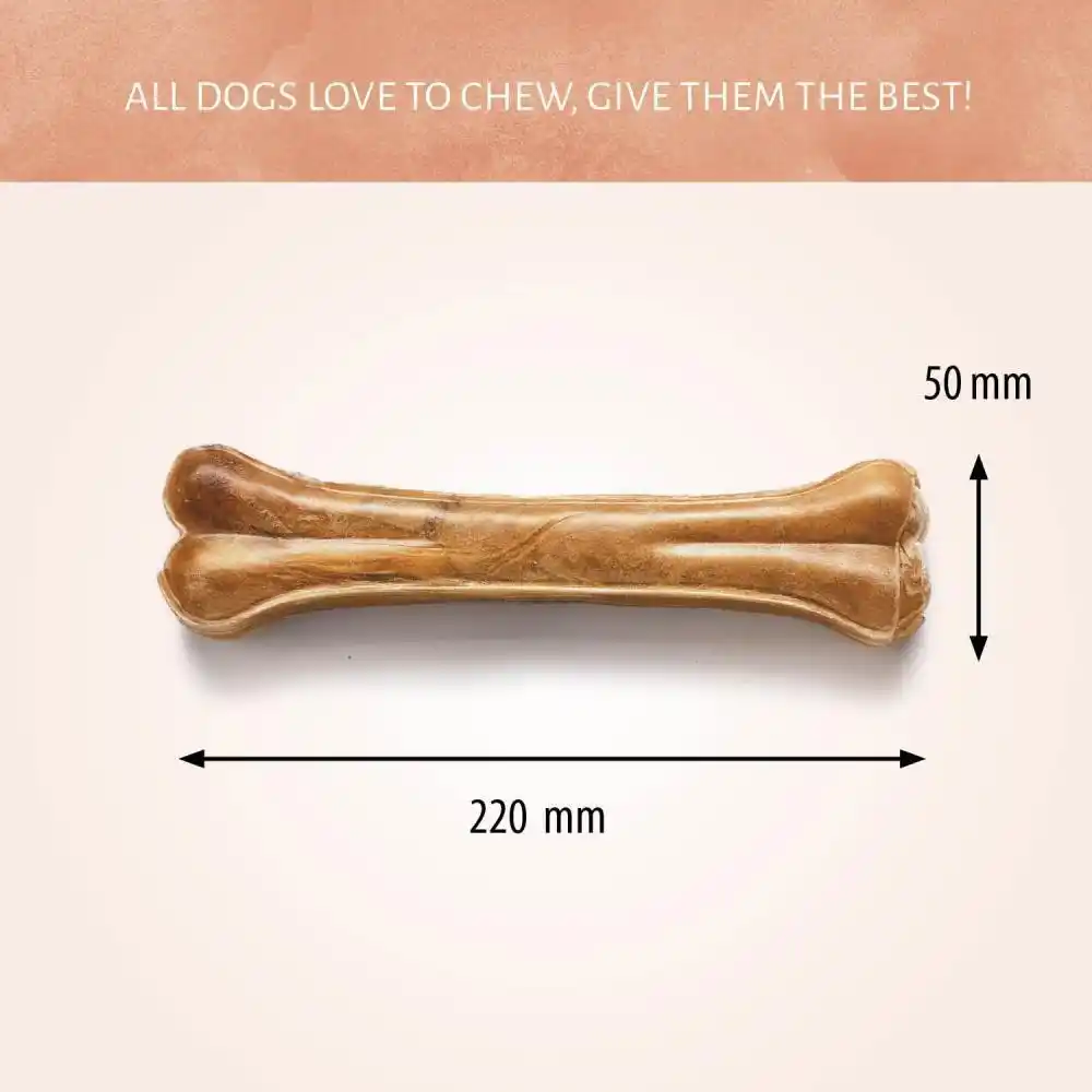 Antos Pressed Bone 8,5″ 170-180 gr