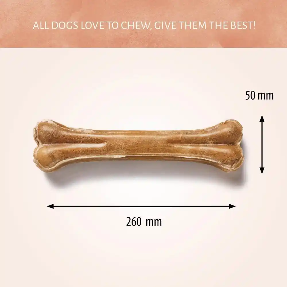 Antos Pressed Bone 10,5″ 280-290 gr