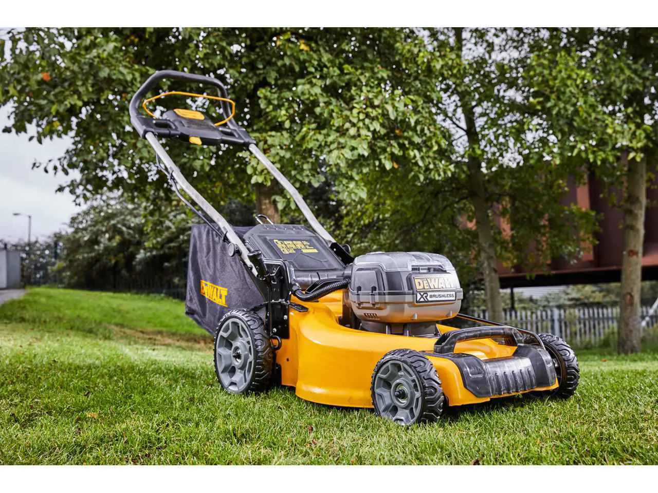Iarba de tăiat DCMW564P2