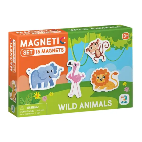 Joc magnetic 