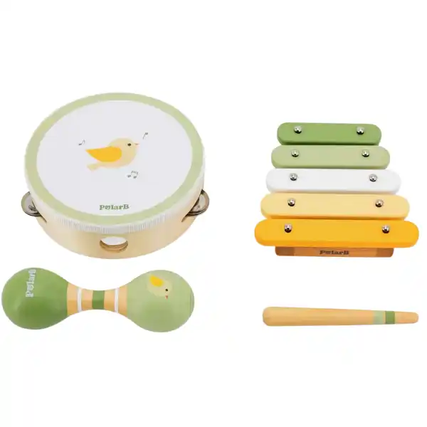 Музыкальный набор "Птичка"