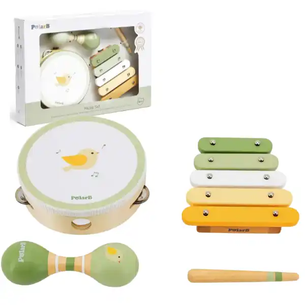 Музыкальный набор "Птичка"