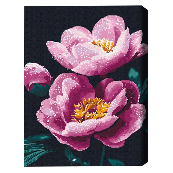 Pictură pe numere 40×50 (în cutie) – Proaspătul de dimineață
