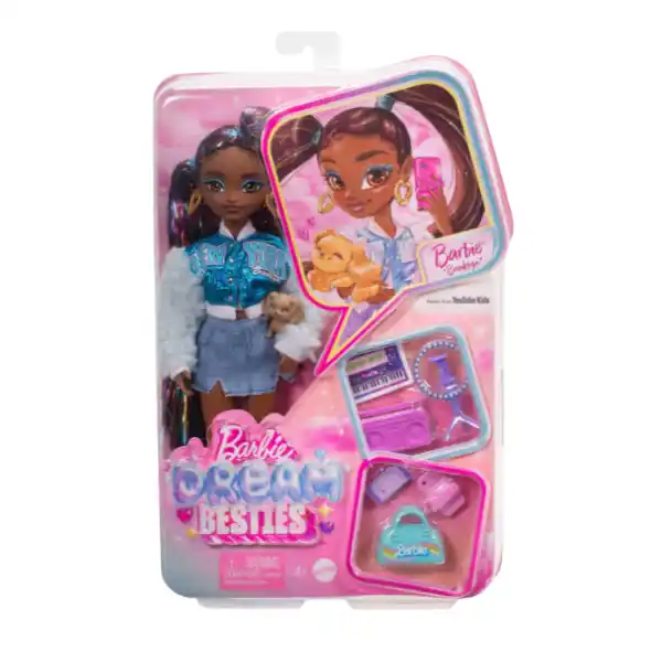 Păpușa Barbie Dream Besties 