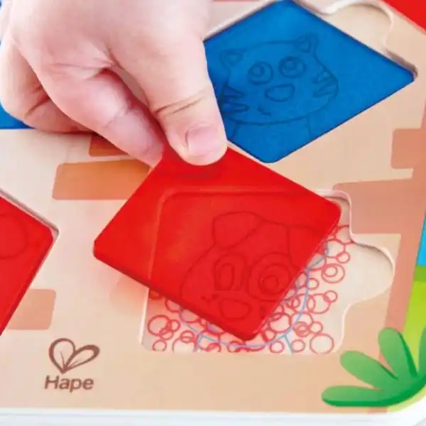 Сортер "Кто в доме живет?"