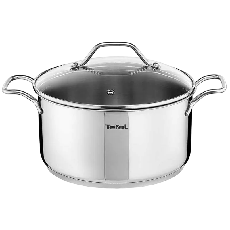 Pot Tefal A7024685