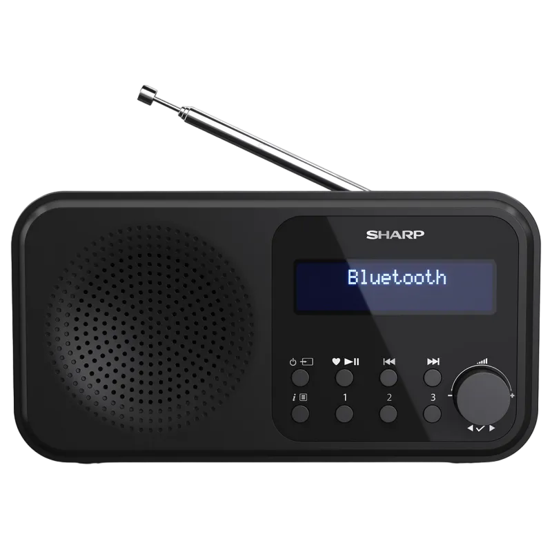 Sharp  DR-P420BKV01, Portable Digital Radio