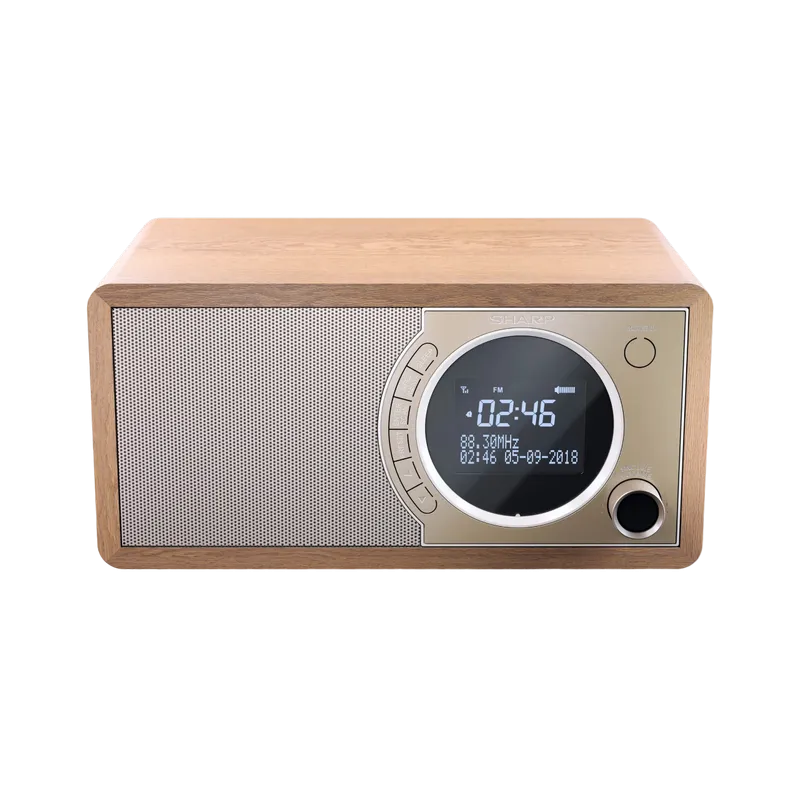 Sharp  DR-450BRV03, Portable Digital Radio