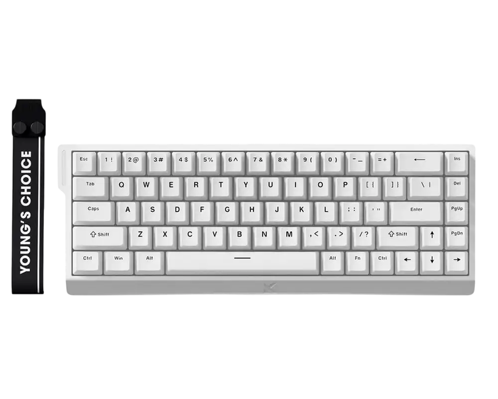 Tastatură MCHOSE Ace 68 E-Sport Mecanic Alb
Cu fir | Engleza