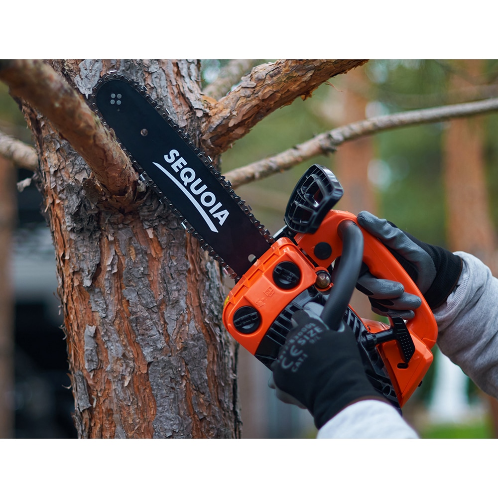 SEQUOIA SPC0812