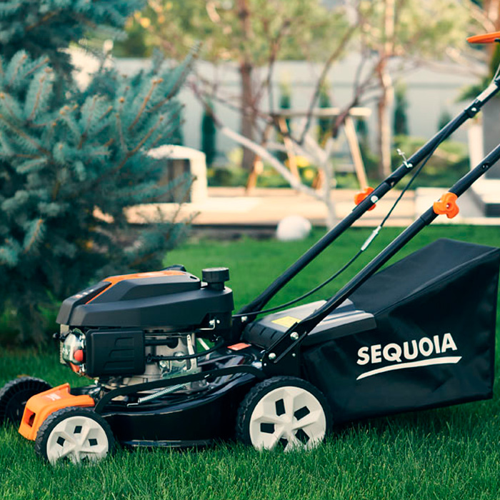 Sequoia SPLM4000