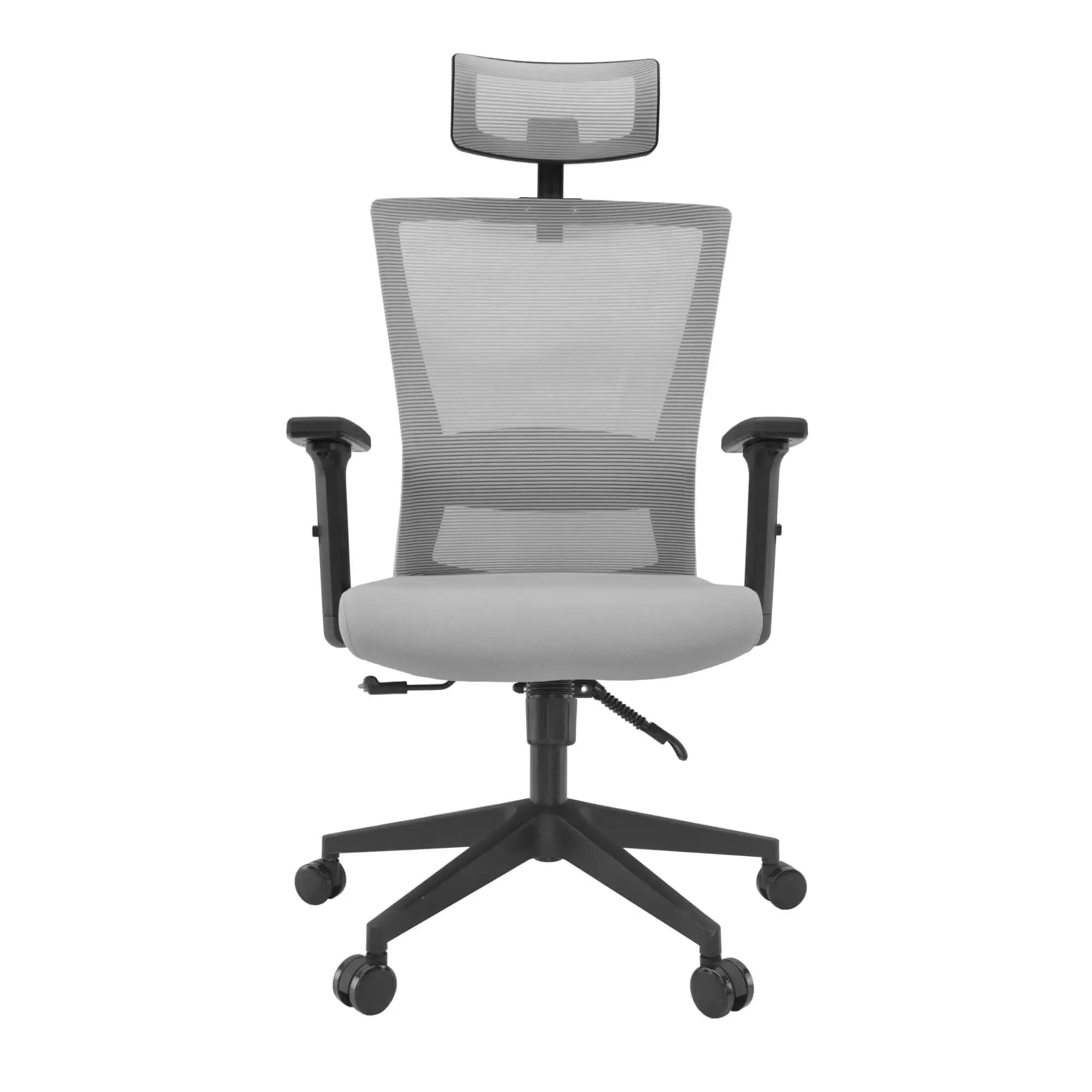 Fotoliul Birou TUSCOLA~Grey