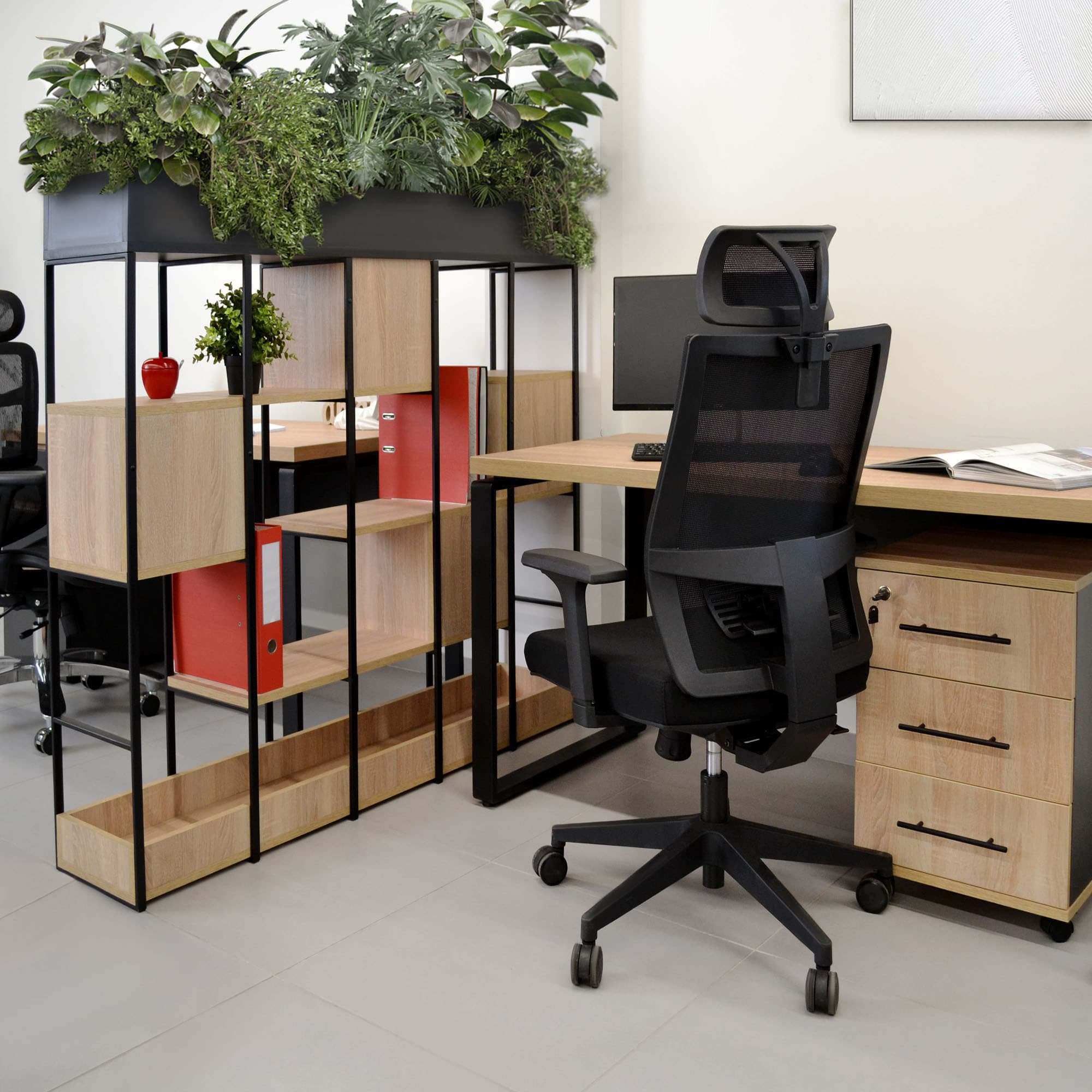 Casetieră Rollbox Sonoma/Anthracite