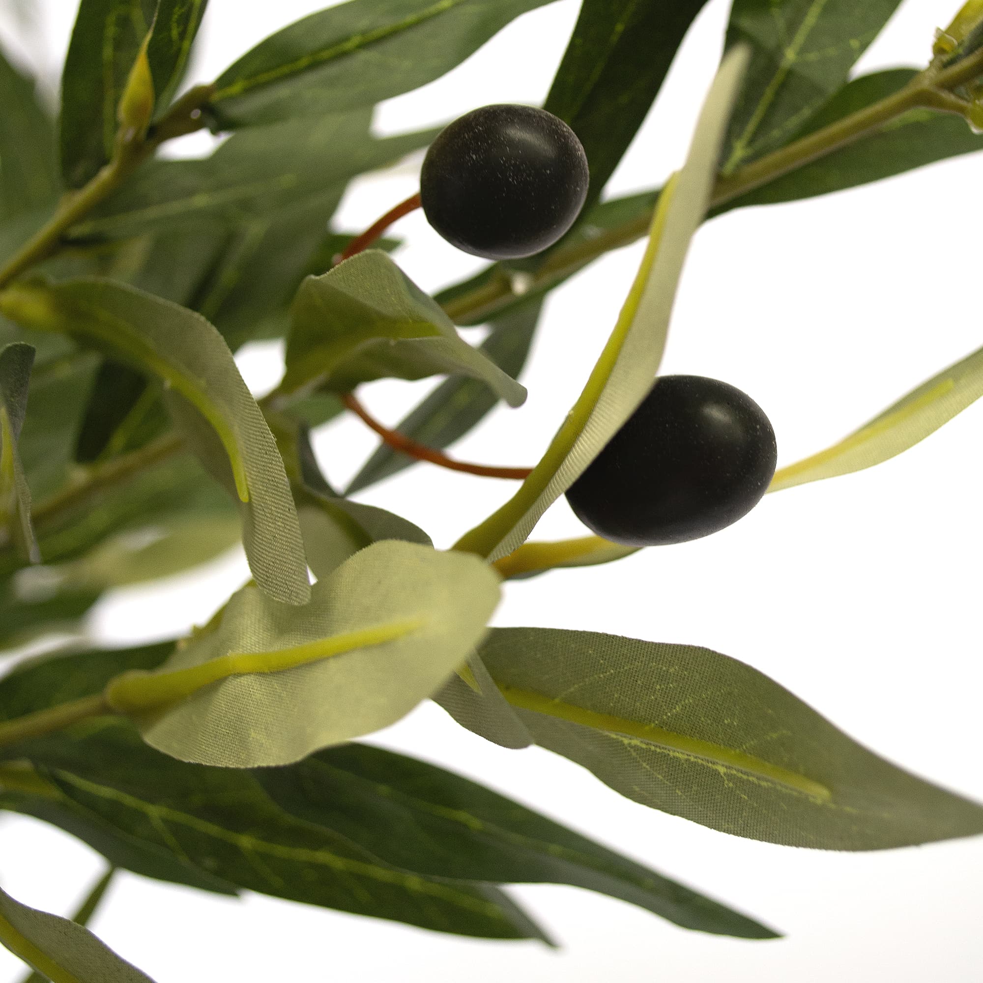 Arbore de Maslin 180 cm