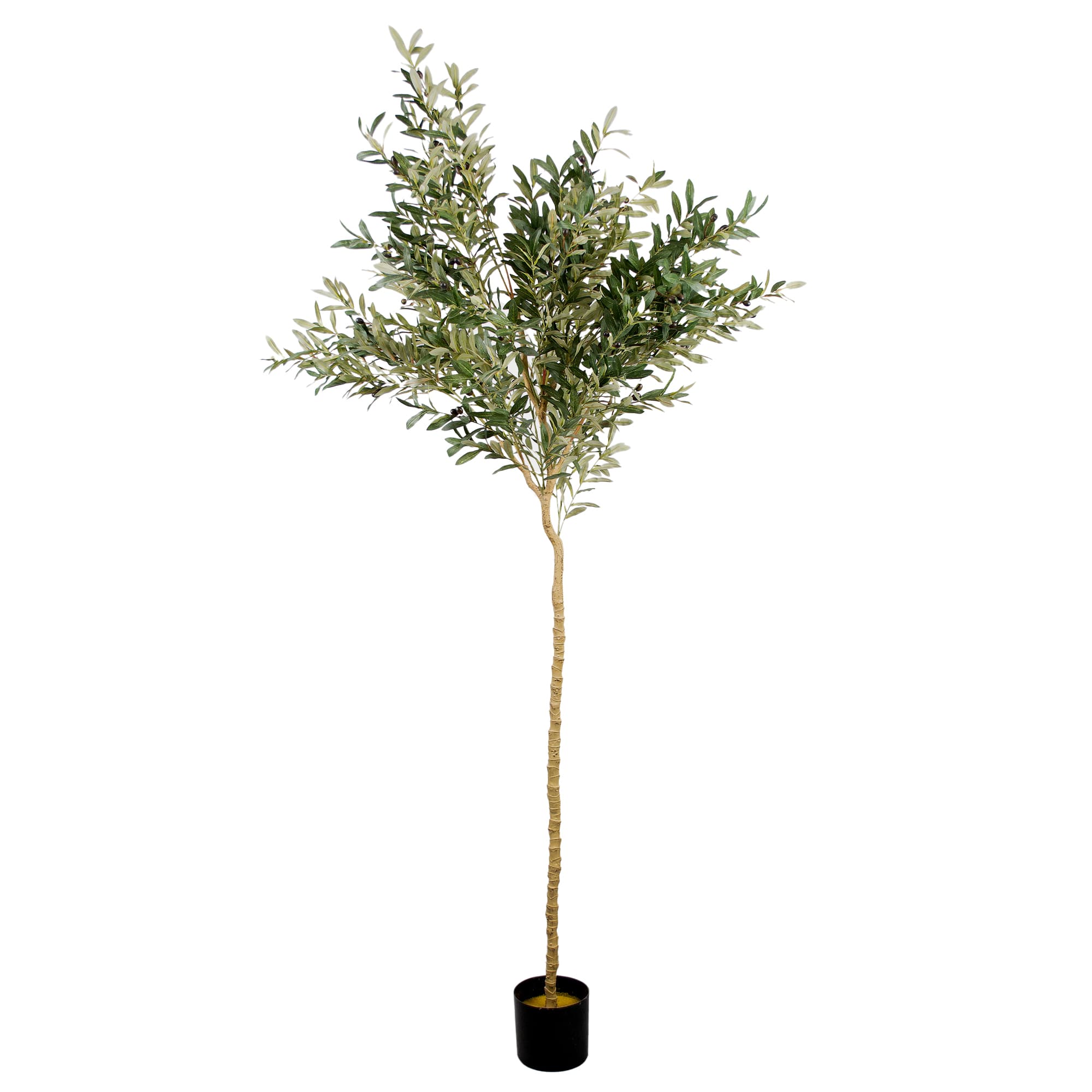 Cumpara  Decor - Arbore de Maslin 240 cm..