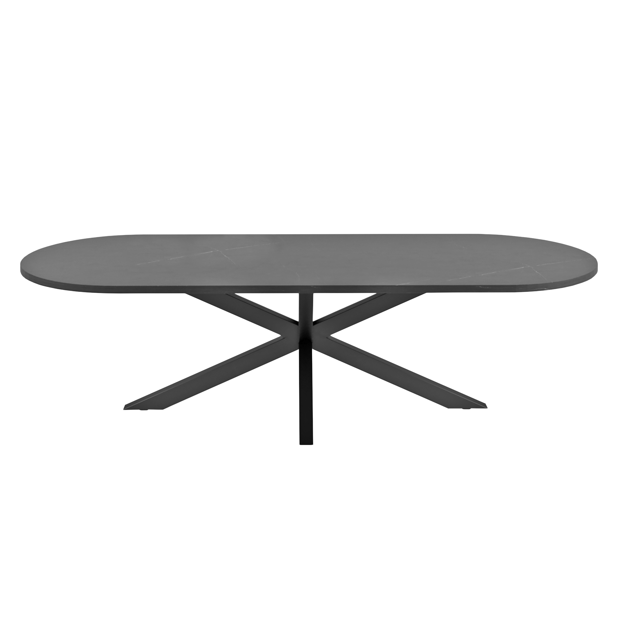 Vesta Table (oval top) 2200×90