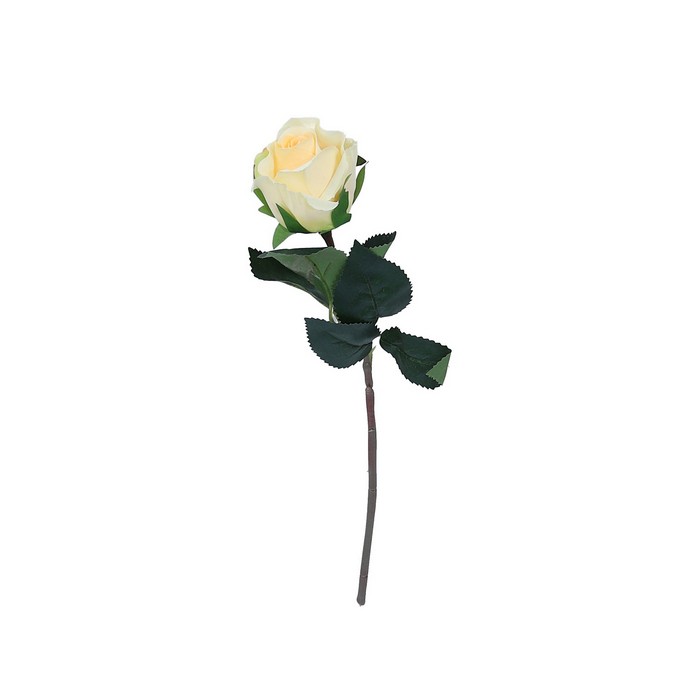 Cumpara  Plante și flori artificiale - Искусственный цветок, PAULA, Роза, Кремовый, ..