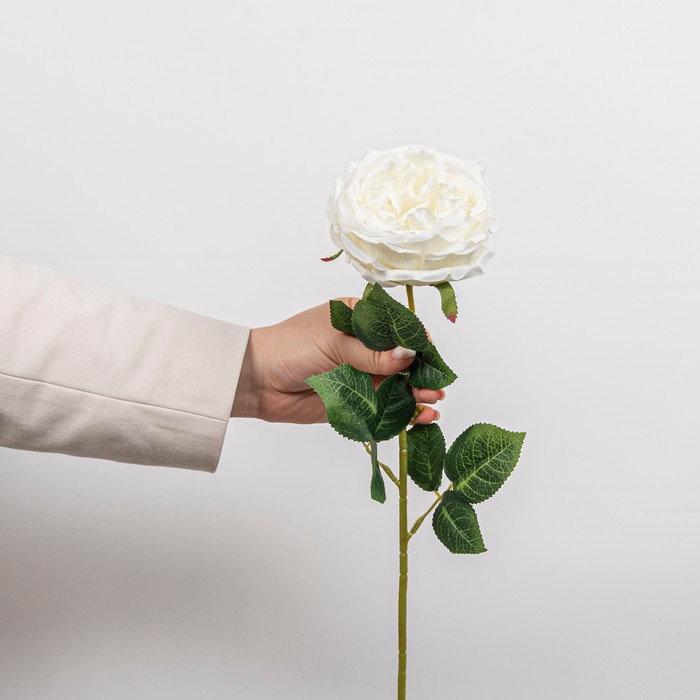 Cumpara  Plante și flori artificiale - Искусственный букет Роза, Белый, 63см..
