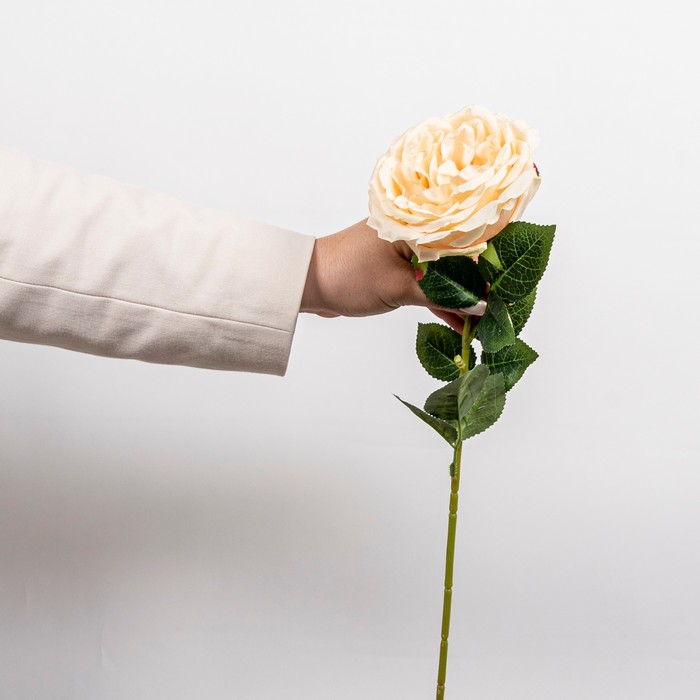 Cumpara  Plante și flori artificiale - Искусственный букет Роза, Кремовый, 63см..