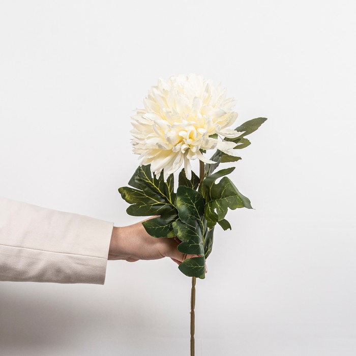 Cumpara  Plante și flori artificiale - Искусственный цветок Хризантема, Белый, 75см..