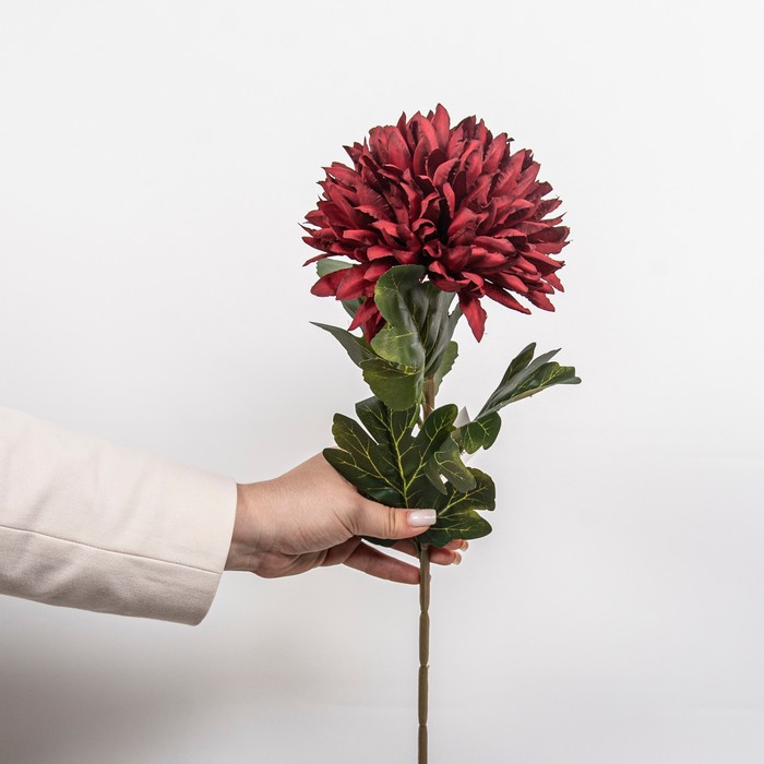 Cumpara  Plante și flori artificiale - Искусственный цветок Хризантема, Красный, 75с..