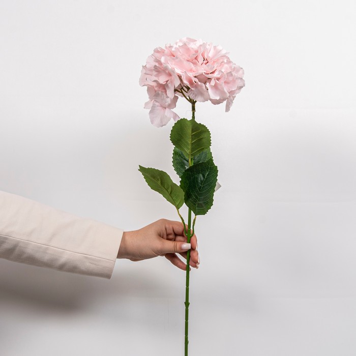 Cumpara  Plante și flori artificiale - Искусственный цветок Гортензия, Светло- Розов..