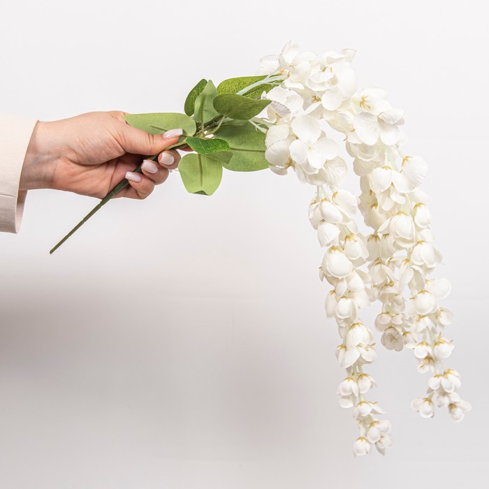 Cumpara  Plante și flori artificiale - Искусственный цветок ГЛИЦИНИЯ, Белый, 61см..