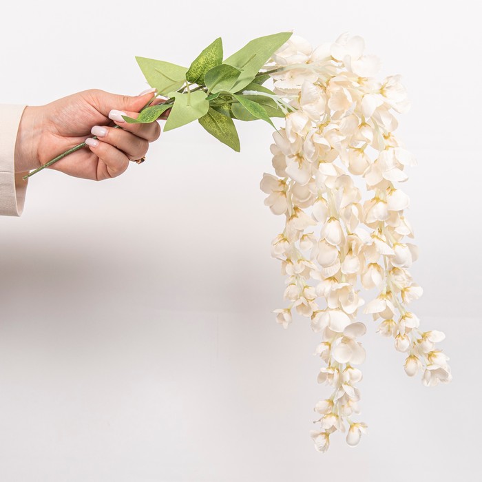 Cumpara  Plante și flori artificiale - Искусственный цветок ГЛИЦИНИЯ, Кремовый, 61см..