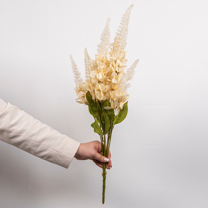 Cumpara  Plante și flori artificiale - Искусственный цветок Лупин, Кремовый, 68см..