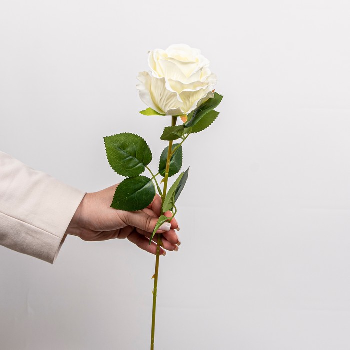 Cumpara  Plante și flori artificiale - Искусственный цветок Роза, Белый, 64см..
