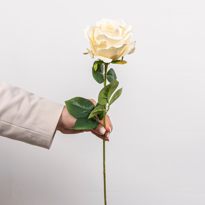 Cumpara  Plante și flori artificiale - Искусственный цветок Роза, Кремовый, 64см..