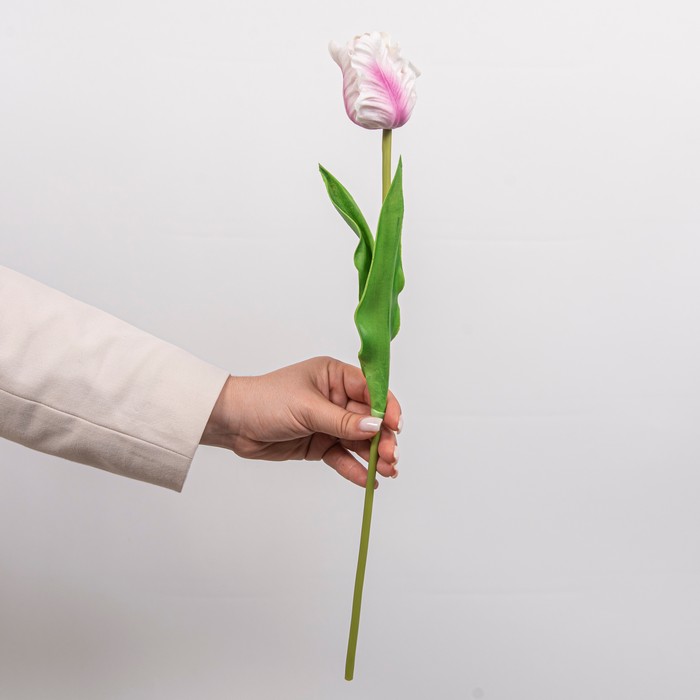 Cumpara  Plante și flori artificiale - Искусственный цветок Тюльпан, Розовый, 50см..