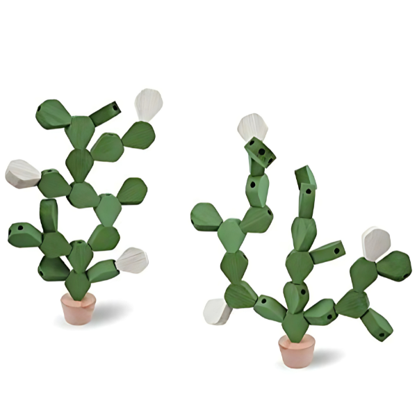 Joc logic - Cactus The Game