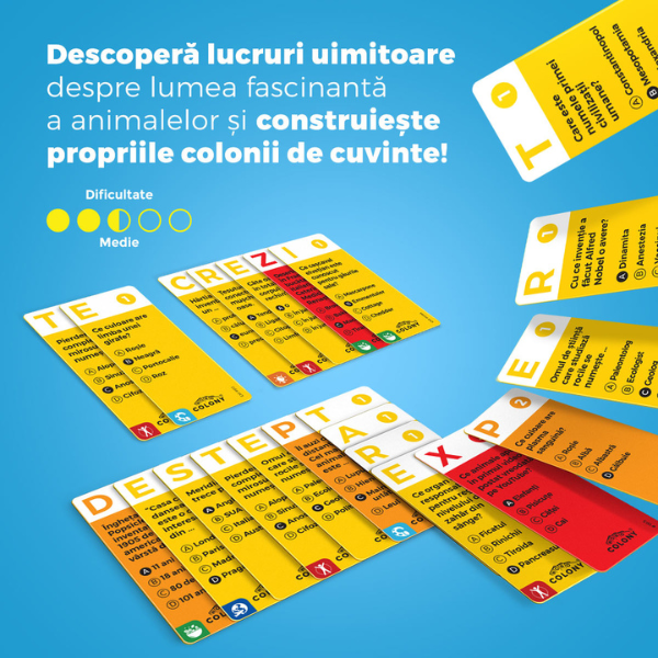 Joc de societate 