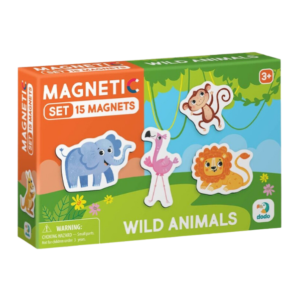 Joc magnetic 